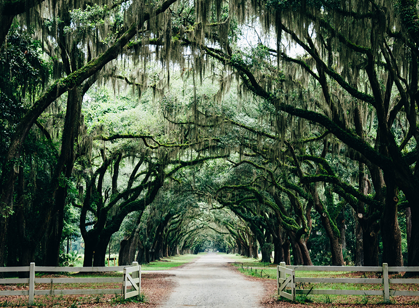 Long country road