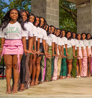 Alpha Kappa Aplpha Sorority Girls